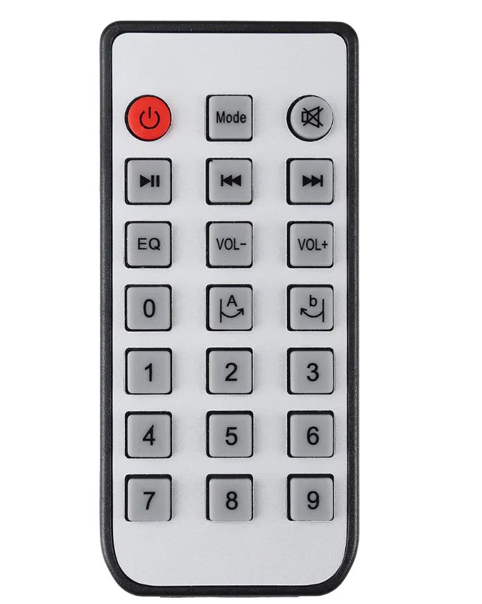 Bluetooth Radio and Speaker System