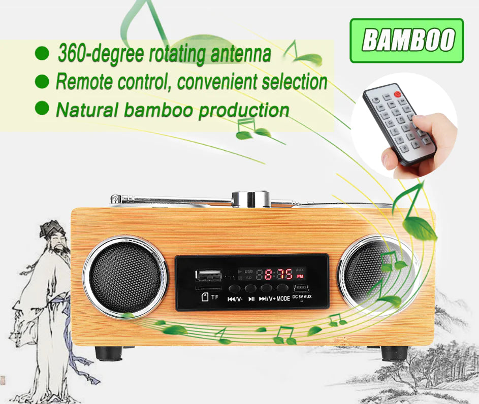 Bluetooth Radio and Speaker System